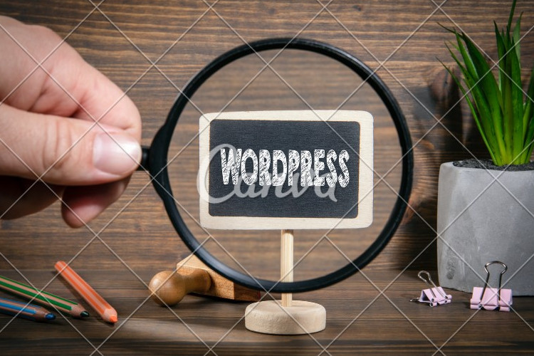 Error WordPress – Otra actualización en marcha