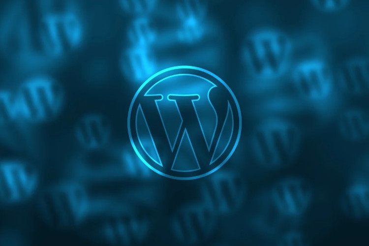 WordPress 6.3.1
